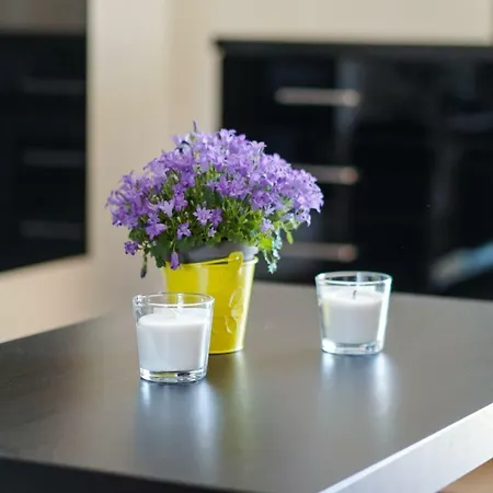 Charming Boulevard Apartment